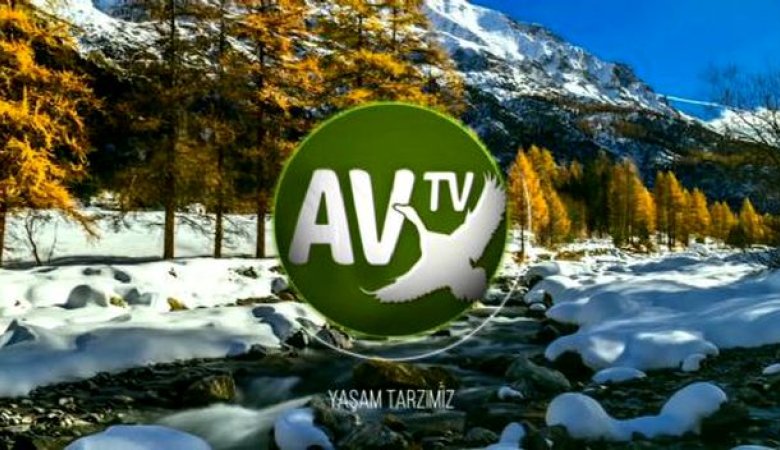 Av Tv Canlı izle