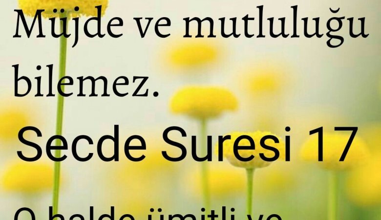 Secde Suresi ve Gece Namazı Ayeti